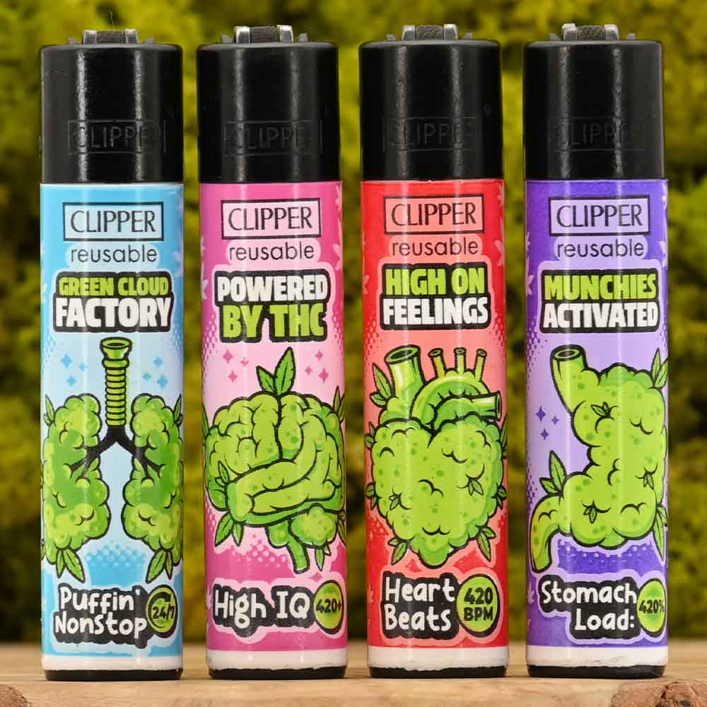 Clipper - 420 Anatomy