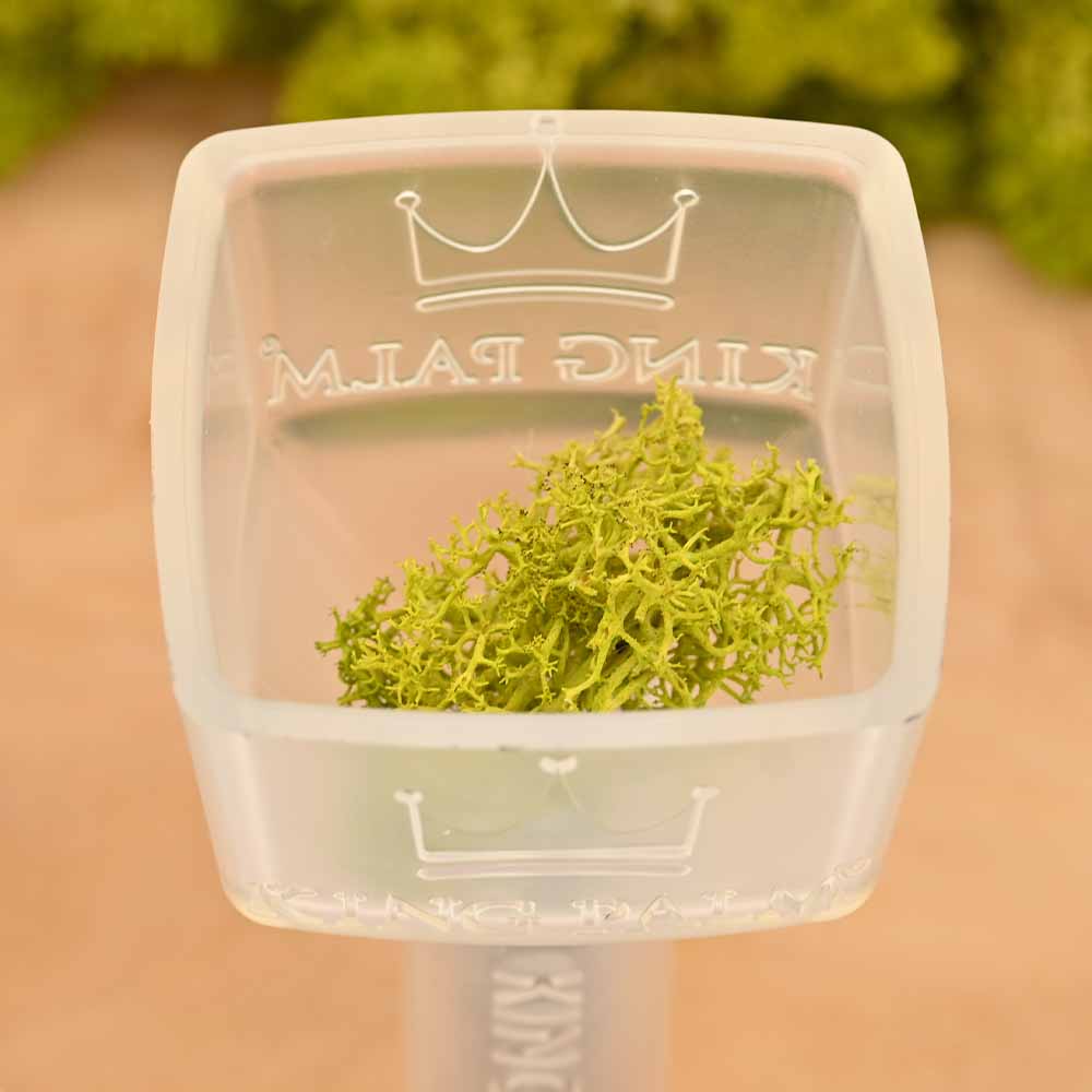 King Palm Mini Funnel
