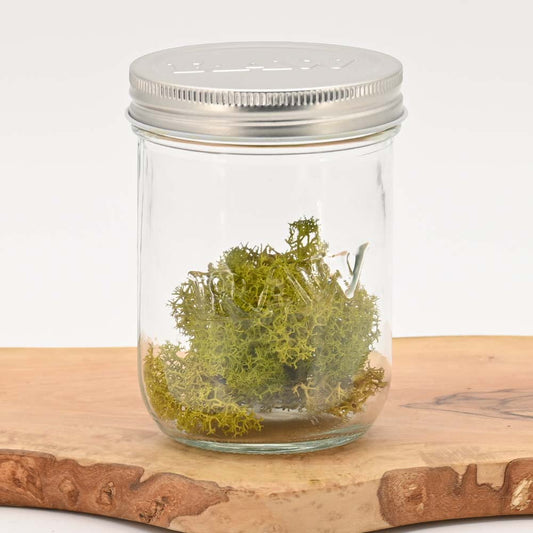 RAW Mason Jar - Einmachglas (475ml)