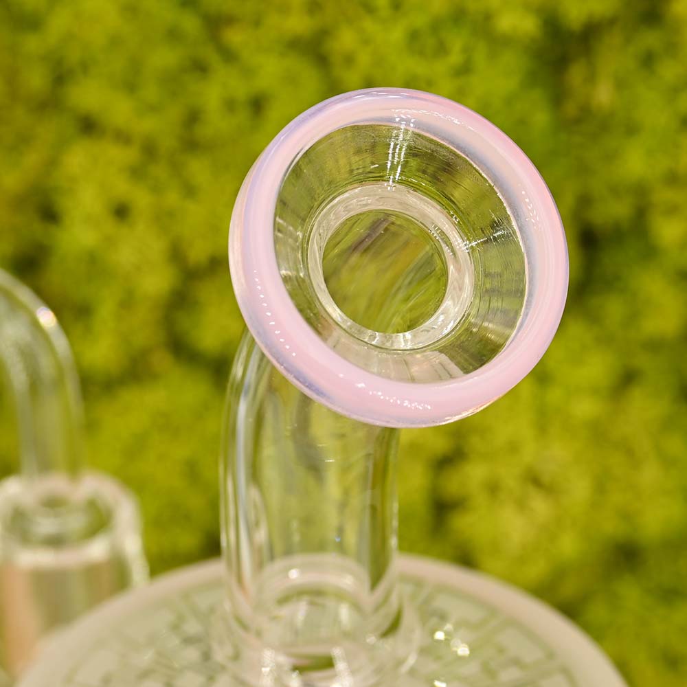 Amsterdam Limited Edition Bubbler - Dab Rig | mit Perkolator (20cm)