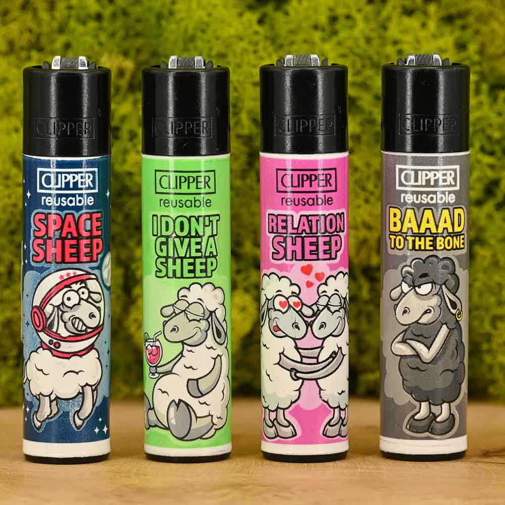 Clipper - Sheep