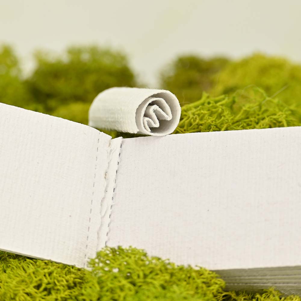 Karma Filtertips mit Samen XL