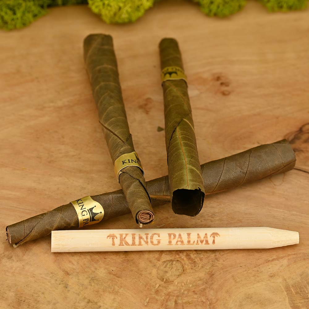 King Palm King Size Cones | Dragon Fruit - 1g