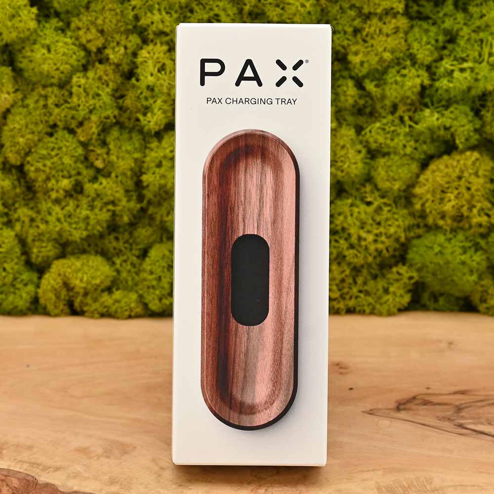 PAX Ladeschale (Walnuss)