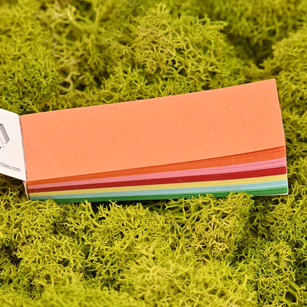 Elements Rainbow Filter Tips - Display Box (50 Stück)