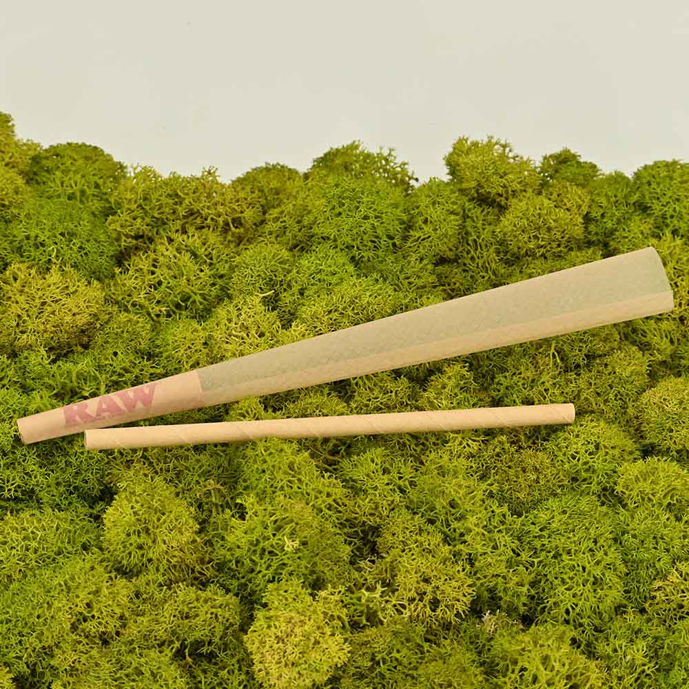 RAW Emperador Cone - 18cm