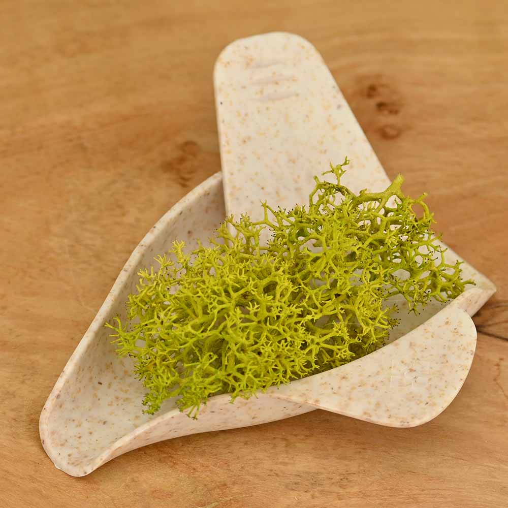 Wolkenkraft Herb Leaf Einfüllhilfe