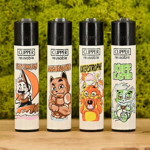 Clipper - Kater