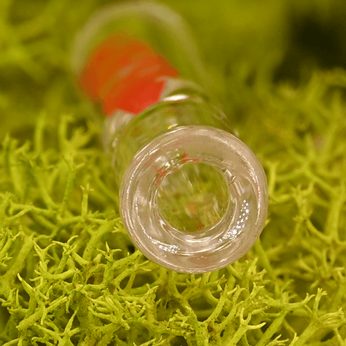 RAW Glas Tip 6mm - rundes Mundstück