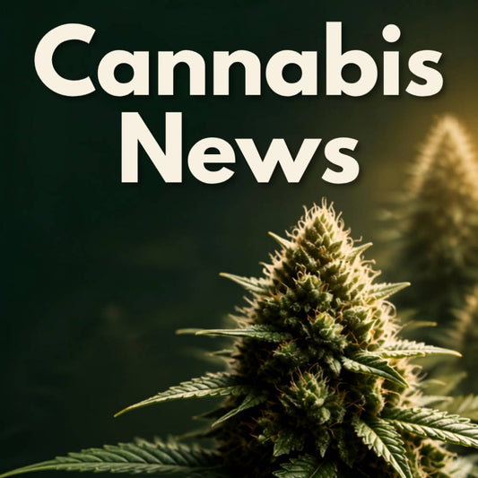 cannabis_auf_rezept_medizinisches_cannabis_cannabisgesetz_cannabis_legalisierung_deutschland_Johnnys_Headshop