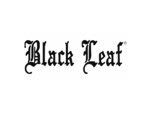 Black Leaf