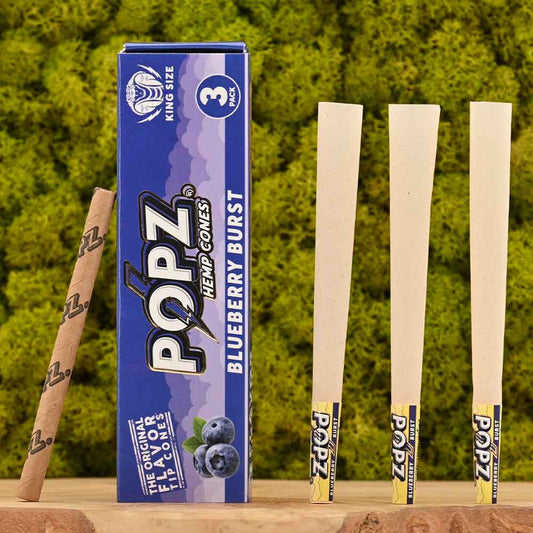 POPZ - Blueberry Burst Cones (3er Set)