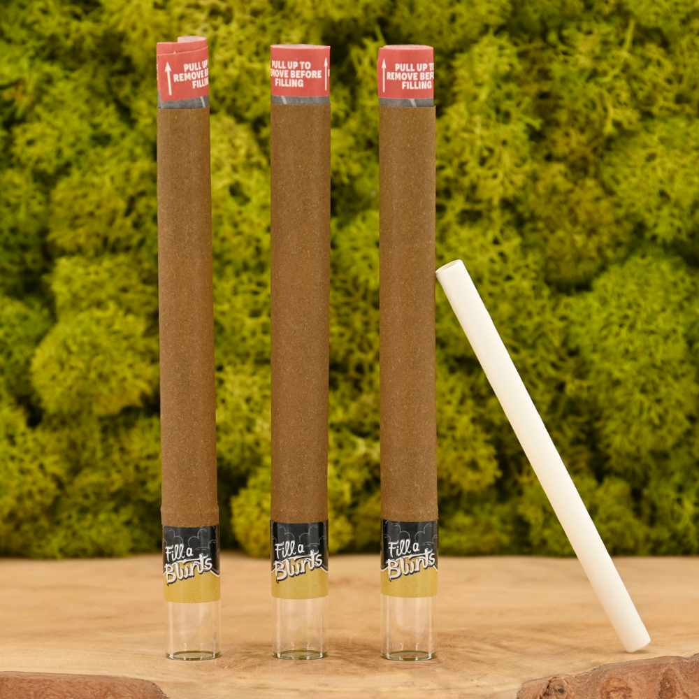Fill a Blunt Cones mit Glastip (3er-Pack)