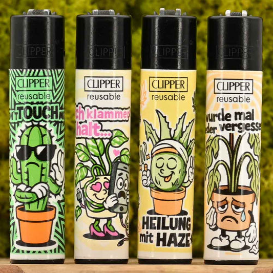 Clipper - Zimmerpflanzen