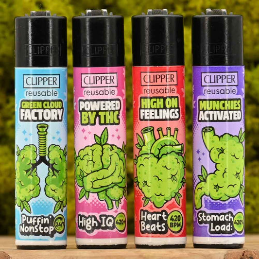 Clipper - 420 Anatomy