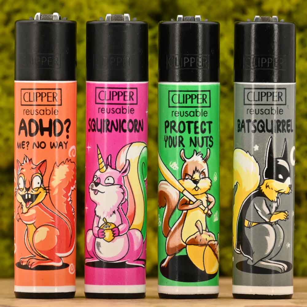 Clipper - Squirrels