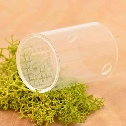Dr. Dabber Switch 2 Saphir Plus Einsatz