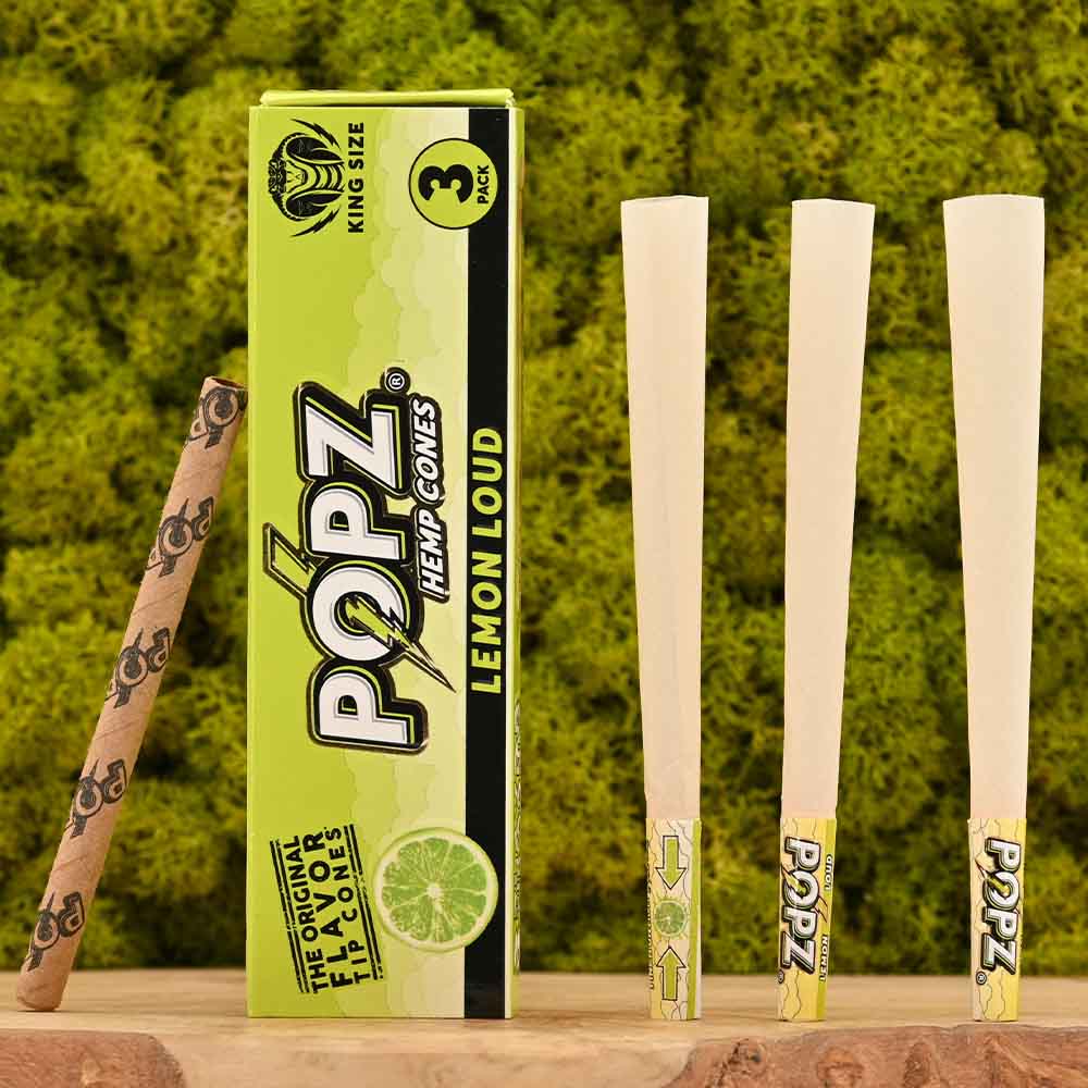 POPZ - Lemon Loud Cones (3er Set)