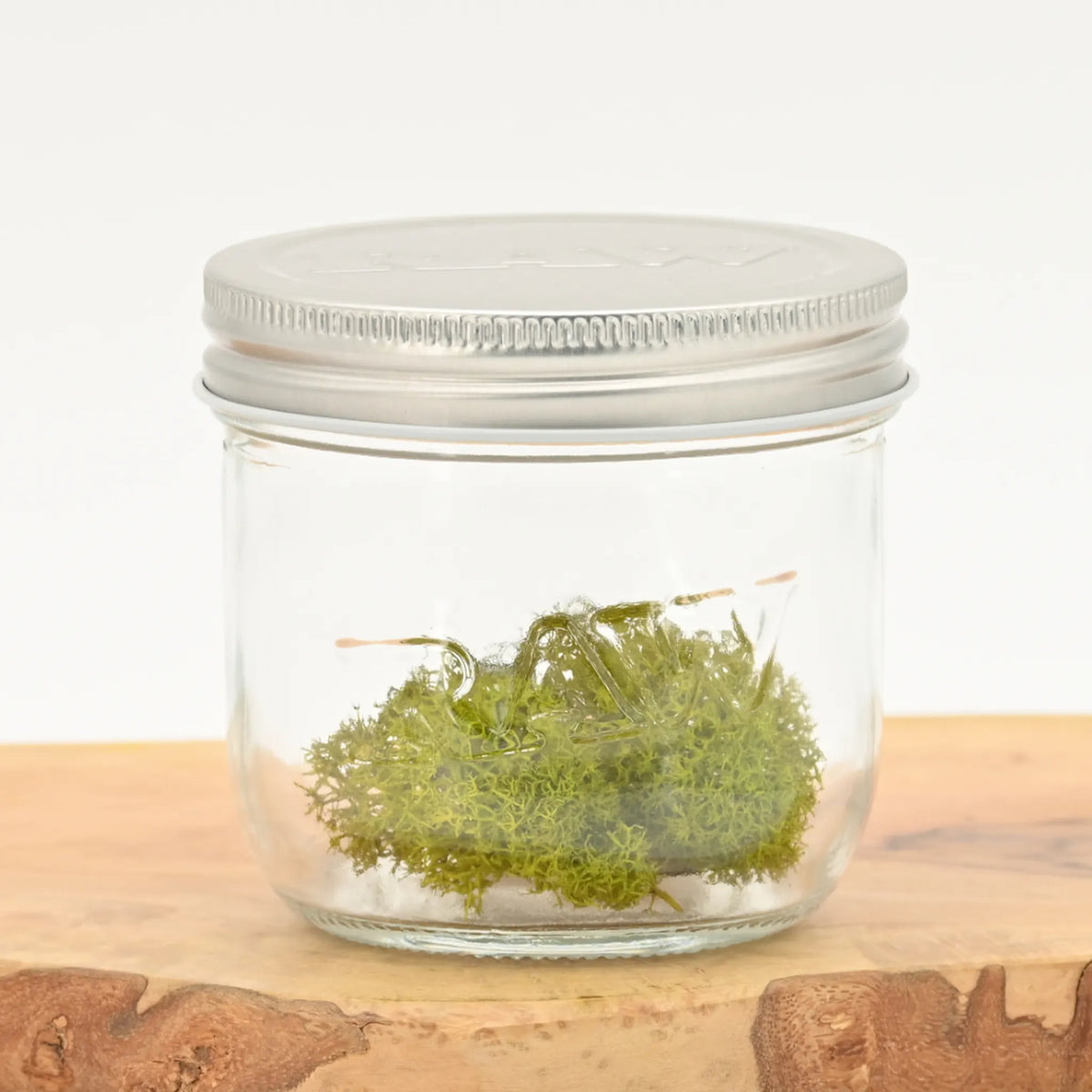 raw_mason_jar_einmachglas_groessenvergleich_aufbewahrung_vorratsglas_luftdicht_kaufen_headshop_Johnnys_Headshop