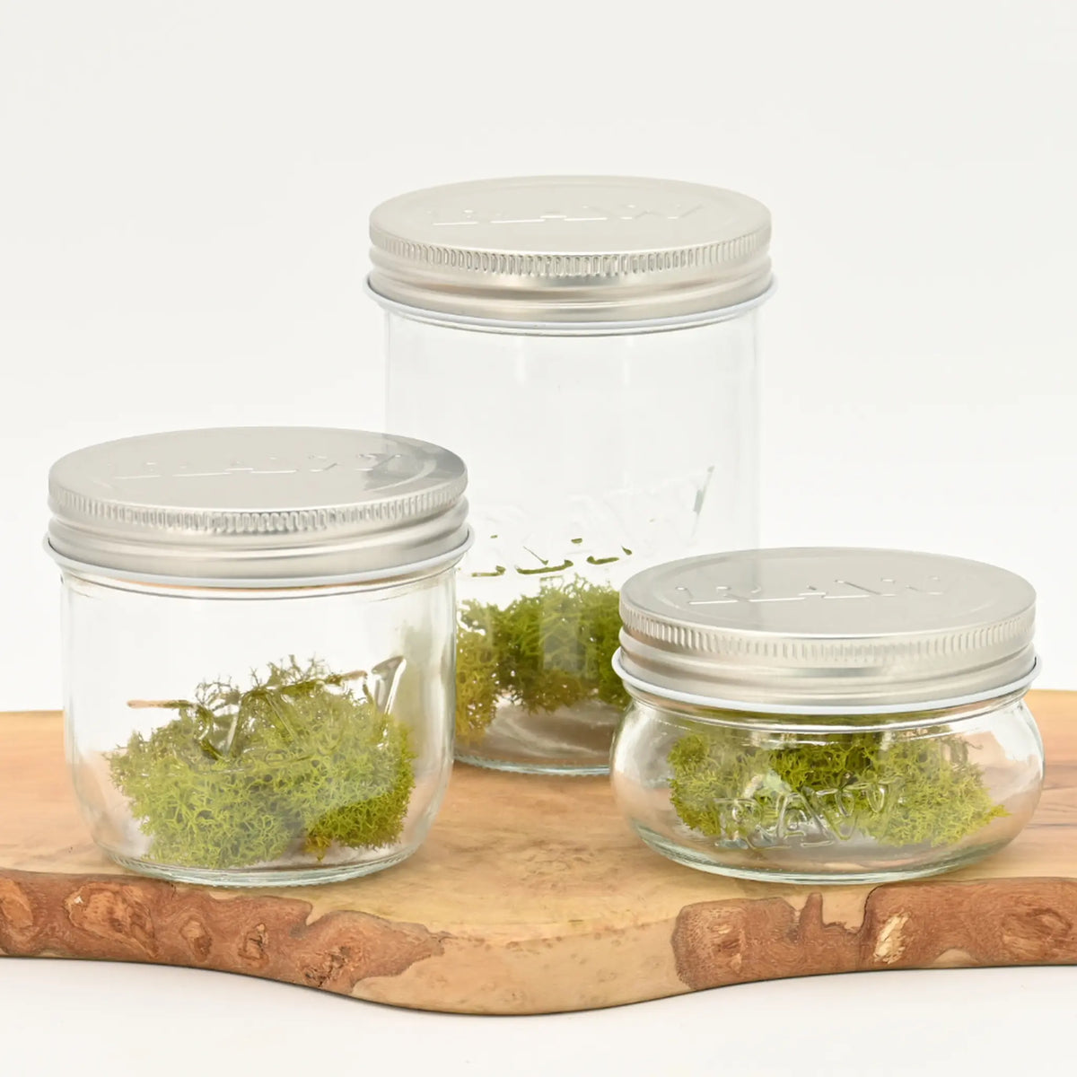 raw_mason_jar_einmachglas_295ml_wiederverwendbar_aufbewahrung_vorratsglas_luftdicht_kaufen_headshop_Johnnys_Headshop