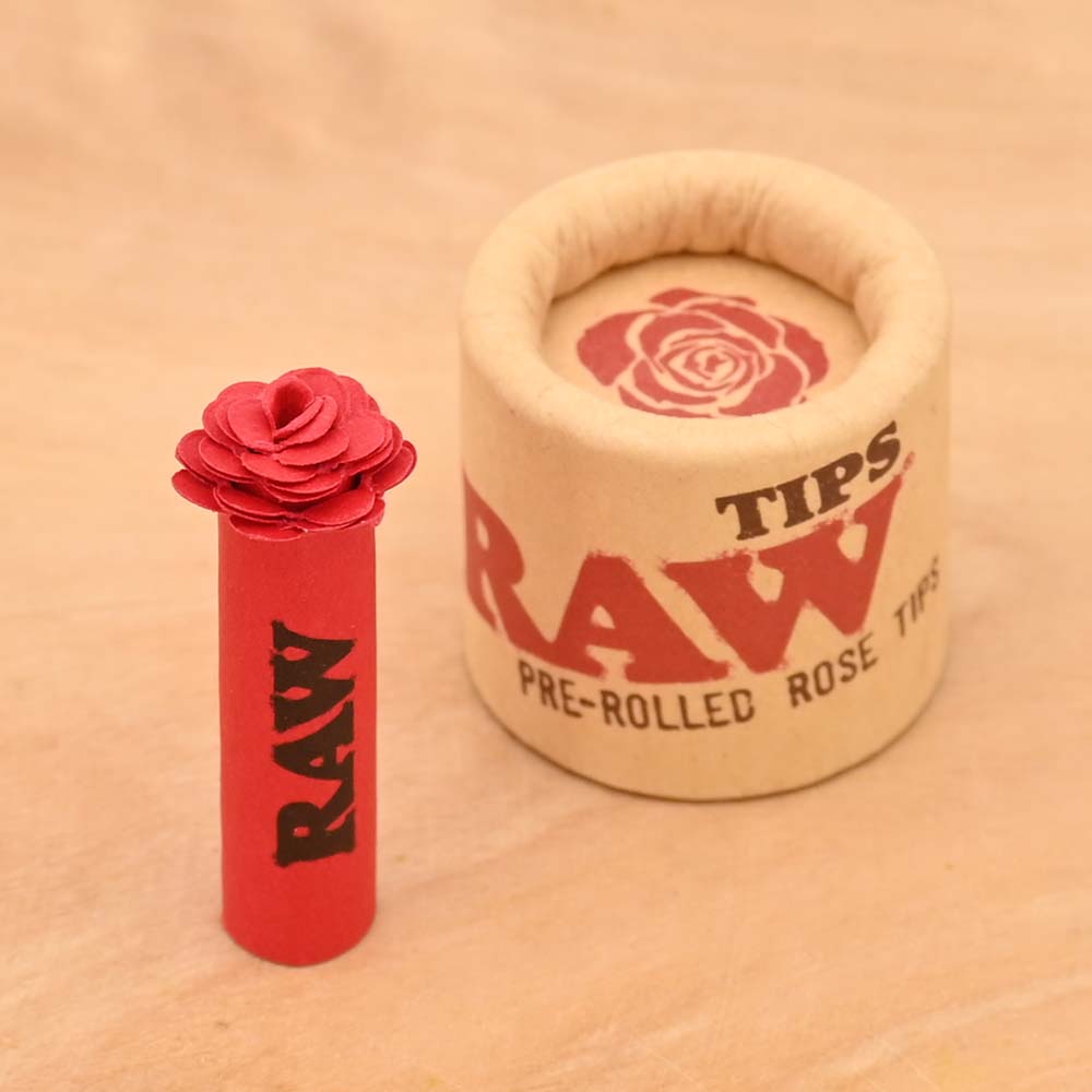 RAW Pre-Rolled Rosen Tip rot