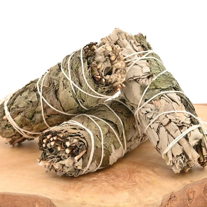 Raeucherbuendel-Weisser-Salbei-Minze-25g-Salbei-raeuchern-Raeucherwerk-frisch-Kraeuterbuendel-Headshop-Zubehoer-Top-Qualitaet-Johnnys-Headshop