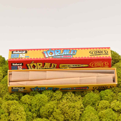 The Original Cones Bomb Size (12er Set)