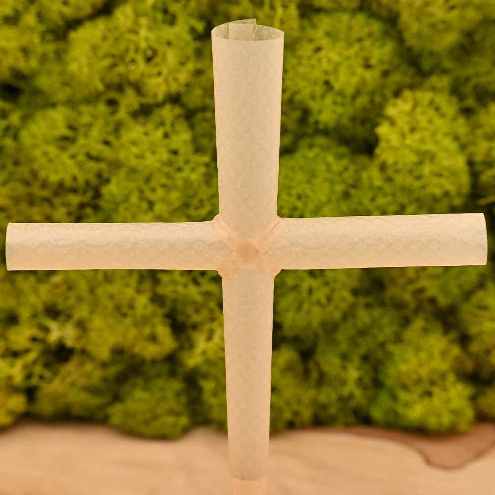 RAW Cross Cones - 2x Cones pro Packung