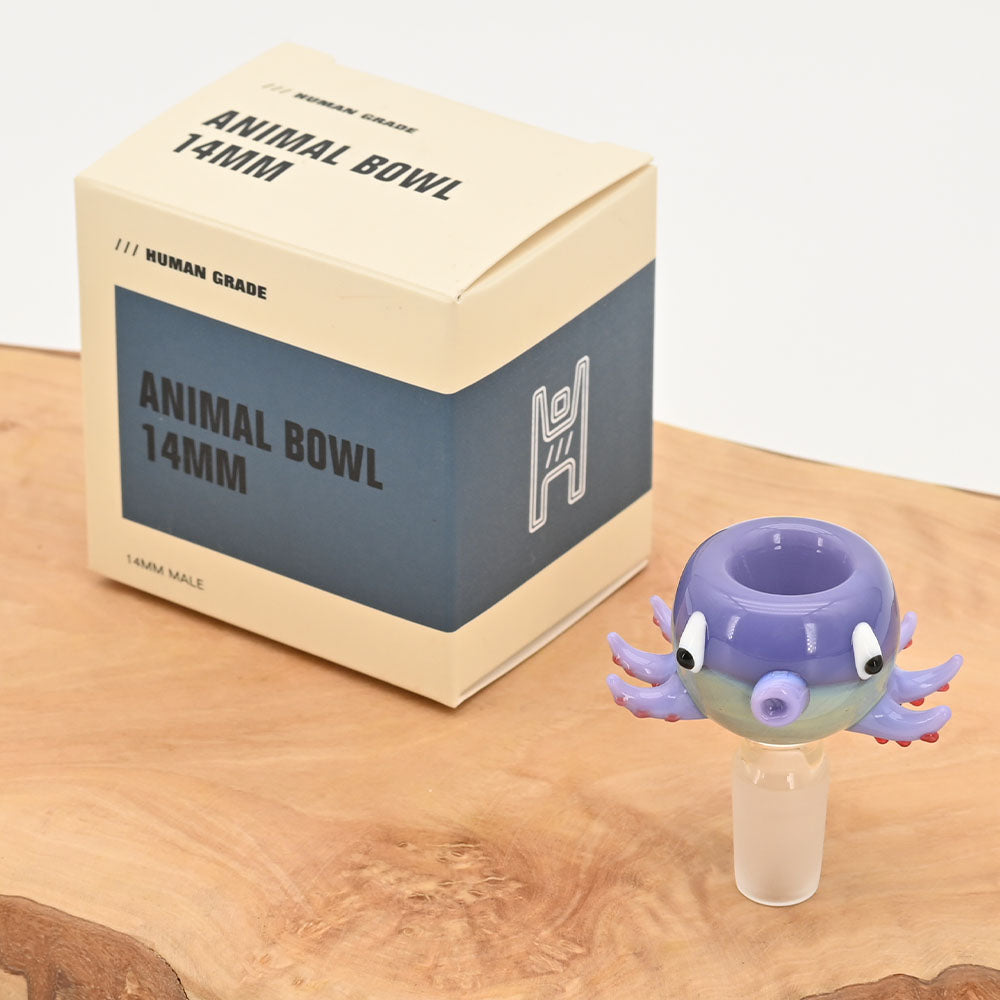 Human Grade Octopus Bong Kopf für NS14