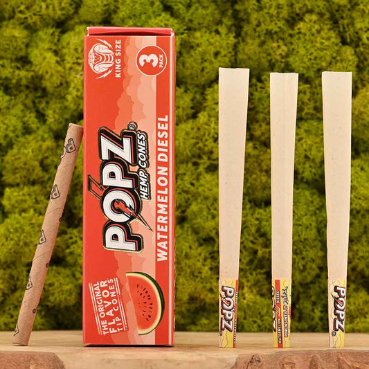 POPZ - Watermelon Diesel Cones (3er Set)