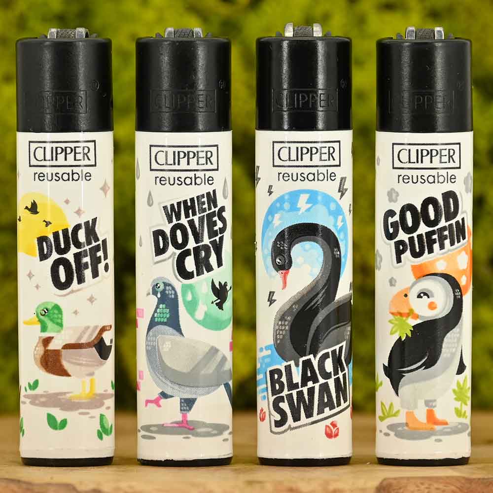 Clipper - Birds