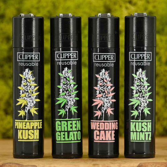 Clipper - PLANTZ #6