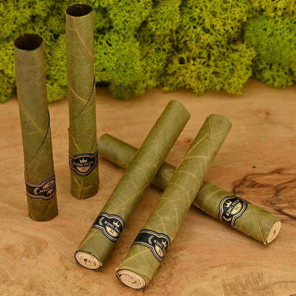 King Palm XL Rolls - 3g (5er Pack)