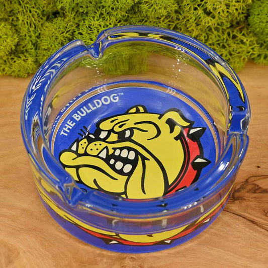 The Bulldog Aschenbecher aus Glas